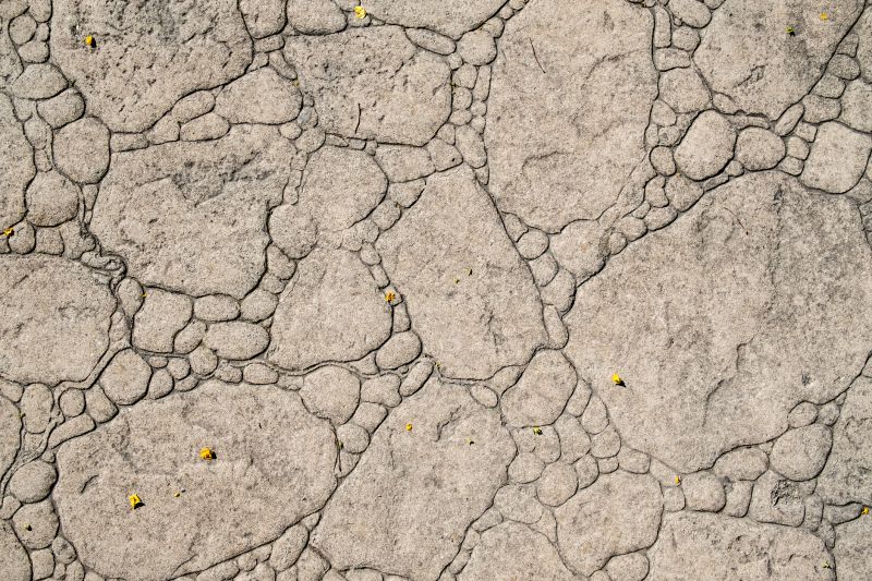 Decorative Concrete Repair in Castle Rock, CO